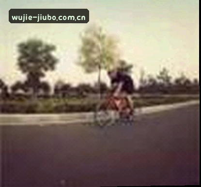 赵敏